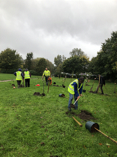 Planting our trees in the rain